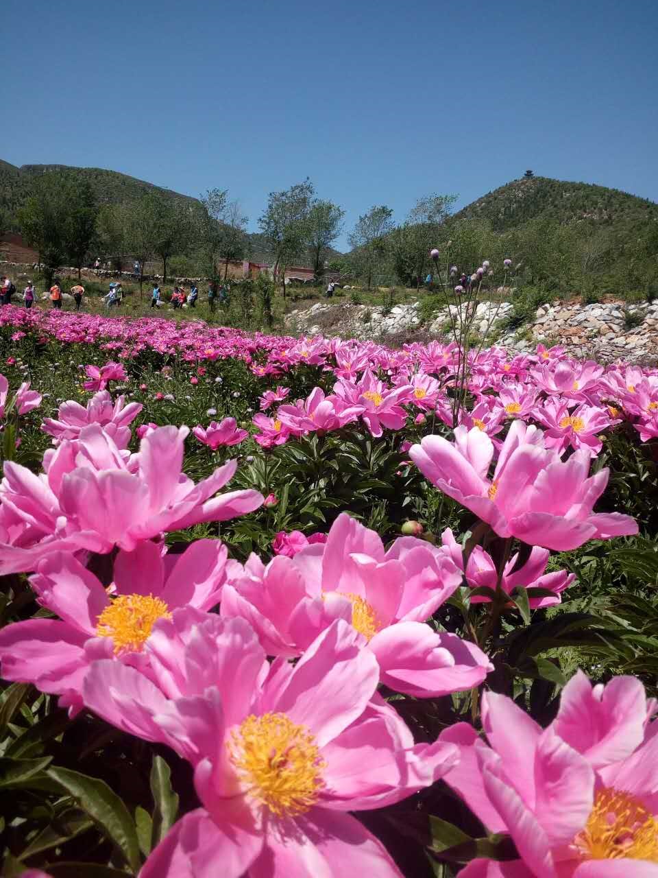 1645779867311266.jpg 2.jpg